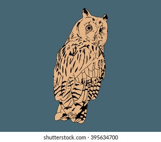 Drawing vector isolated screech-owl on gray-blue background