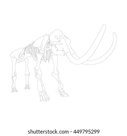 Drawing Vector Isolated Woolly Mammoth Skeleton - Mammuthus Primigenius Outlines