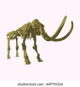 Drawing Vector Isolated Woolly Mammoth Skeleton - Mammuthus Primigenius