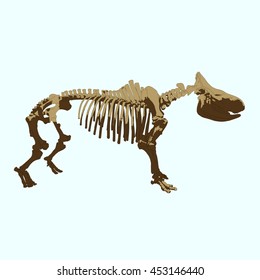 Drawing vector isolated woolly rhinoceros skeleton side view - rhinoceros antiquitatis