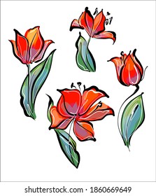 
Drawing vector SET  graphics with floral pattern for design. tulip Floral flower natural design. Graphic, sketch drawing. lily, tulip. logotype