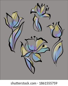 
Drawing vector SET  graphics with floral pattern for design. tulip Floral flower natural design. Graphic, sketch drawing. lily, tulip. logotype