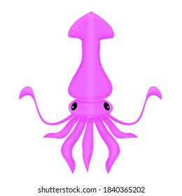 a drawing vector of squid