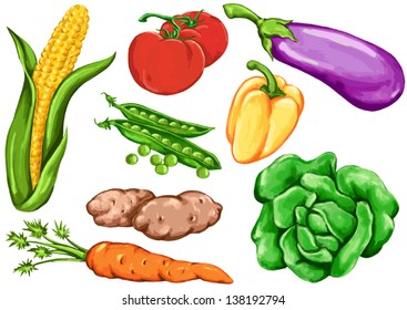 drawing vegetable-based foods, vegetables, root crops, tomato, pepper, eggplant, peas, potatoes, cabbage, lettuce, carrots, corn, maize