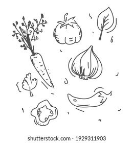Drawing vegetables on a white background. Freehand drawing style.