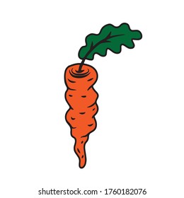 Gemüsesorten wie Karotten zeichnen, Handgezeichnete Vektorgrafiken Doodle-Illustrationen einzeln auf weißem Hintergrund.