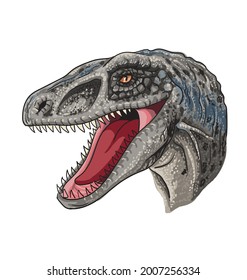 drawing velociraptor head, art.illustration, vector