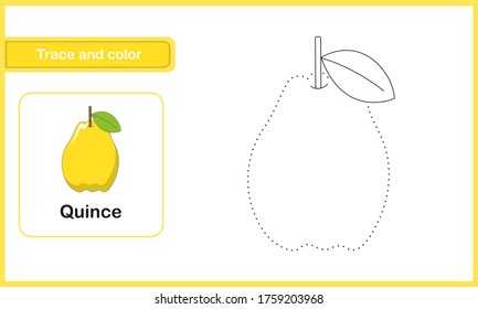 Drawing and vocabulary worksheet for preschool kids, Trace and colour : Quince