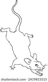 Drawing of a vole mouse. A wild mouse comes down. Linear sketch in vector. For design and printing of product packaging for rodents and small animals. For advertising veterinary clinics and pet stores