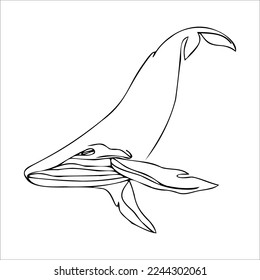 Drawing of a whale, minimalism. Whale logo. Killer whale tattoo sketch. Coloring page sea dweller. Underwater inhabitant, blue whale. Vector illustration.