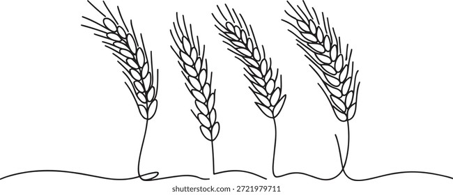 Dibujo de orejas de trigo sobre fondo blanco