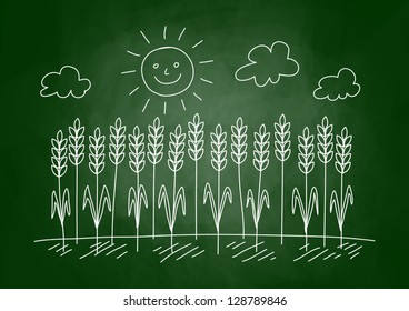 Drawing of wheat field on blackboard