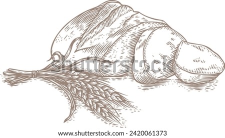 Drawing of white bread and bunch of wheat spikelets on the white