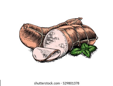 Drawing of whole and cutted cooked sausage with leaves of basil