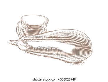 Drawing of whole and slices of raw eggplant on the white background