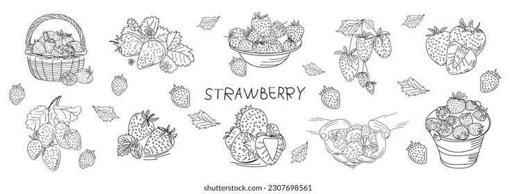 Dibujo de bayas silvestres. Marco vectorial vintage dibujado a mano. Frutos de verano de fresas. Plantilla detallada de comida orgánica para el menú, etiqueta de mermelada, banner de té