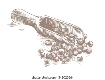 Drawing of wooden scoop with black peppers on the white