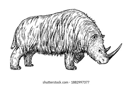 Drawing of Woolly rhinoceros - hand sketch of extinct mammal