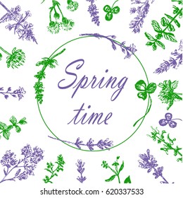 Drawing of a wreath of field grasses, a sketch, a hand-drawn graphics vector illustration