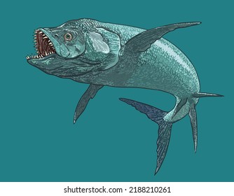 Zeichnen von xiphactinus, Raubfisch, riesig, art.grafik, Vektorgrafik