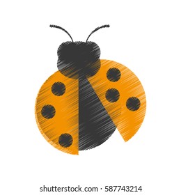 drawing yellow ladybug animal insect garden vector illustration eps 10