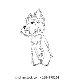 Dibujo del Yorkshire Terrier. Vector lineal de un perro afectado