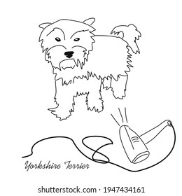 Drawing of a Yorkshire terrier in lines. Drying a small dog with a hairdryer after bathing