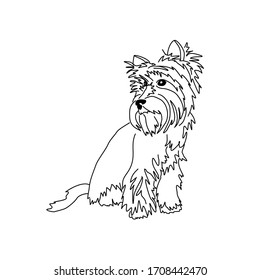Dibujo del Yorkshire Terrier sentado. Imagen lineal en blanco y negro de un perro.