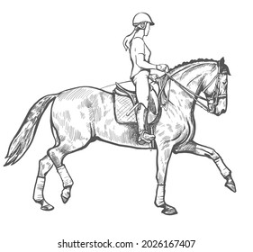 drawing of young horse rider woman performing dressage training, horse riding, horse stallion with jockey drawing for sport vector illustration 