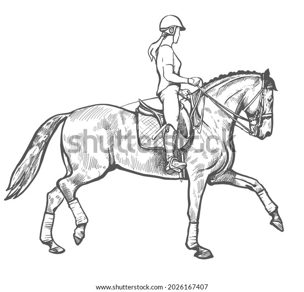 Drawing Young Horse Rider Woman Performing Stock Vector (Royalty Free ...