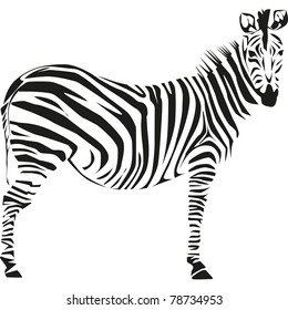 drawing of a zebra on the African savannah