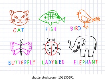 Drawings of animals on squared paper