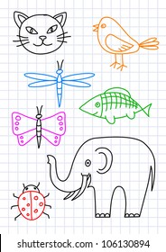 Drawings of animals on squared paper