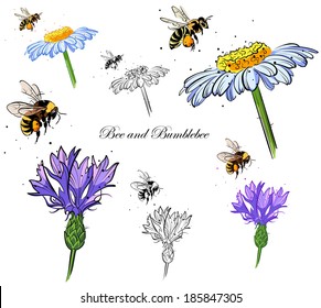 drawings bee and bumblebee pollinating flowers. Version with a black stroke, stroke color and no color. white background