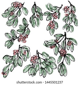 drawings with branches with leaves and berries, isolates on a white background