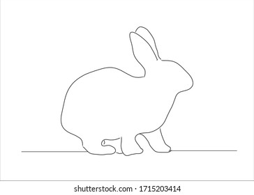 Drawings of rabbit. White background