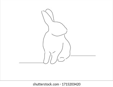 Dibujos de conejo. Fondo blanco