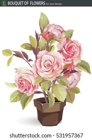 Drawings Romantic floral bouquets. Retro flowers plant in a brown ceramic pot, eps8. Rose Flowers isolated on white Background