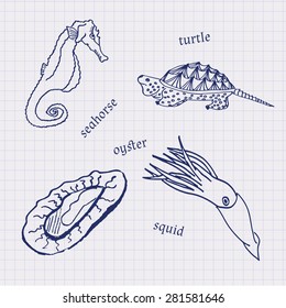 Drawings in their notebooks in a cage of marine animals and seafood scallop, sea horse, squid, oysters
