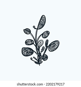 y planta de imaginación abstracta dibujada
