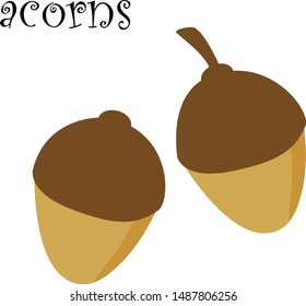Drawn acorn in vector illustration.