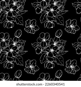 Flor de manzana dibujada. Primavera. Las primeras flores. Árbol. Flores de primavera. Árbol de manzanas. Establecer. Vacaciones. Invitaciones. Boda. Conjunto de motivos florales. Patrón vectorial sin cable.