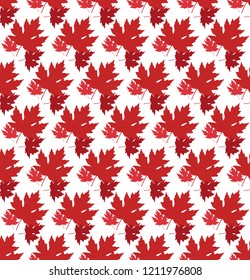 drawn autumn background with beautiful leaves . Seamless pattern. Red maple leaves, Vector isolated or white background 