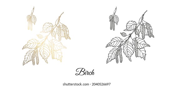 Drawn birch branch. Monochrome and gold. On an isolated white background. Vector illustration.