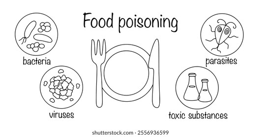 Drawn with a black line are the main causes of food poisoning. Bacteria, viruses, toxic substances and parasites as causes of poisoning in people during food intake. Vector illustration.