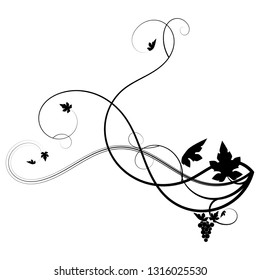 drawn black vine grape weaving on a white background