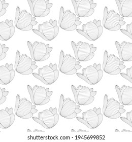 Drawn black and white tulip with contour line. Seamless pattern. Vector Illustration. EPS10