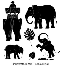 Drawn black and white vector illustration with silhouettes of elephants. Silhouettes of elephants for different design.