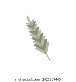 Drawn branch with leaves on white background