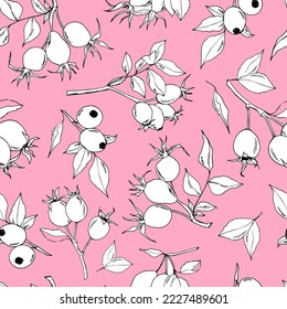 Drawn branches of a wild rose. Pattern from branches on a pink background. Berries. Fruit. Autumn. Rose. Seamless vector pattern. Branches set. Silhouette. Dog rose sketch.